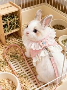 Adjustable Rabbit Leash, Cute Floral Lace Rabbit Harness, Small Animal Outdoor Clothing, Escape-Proof Adjustable Rabbit Vest, Cute Guinea Pig Summer Harness, Leash Set, Rabbit Walking Leash, Floral Decorated Small Animal Vest Harness, Adjustable Escape-Proof Design, Pink, Suitable For Ferrets, Guinea Pigs, Squirrels, Kittens, Hamsters, Rabbits, Suitable For Outdoor Walks, Travel, Spring Outings - Multicolor - View 6
