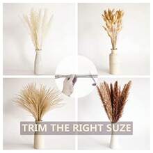 PCS Small Boho Pampas Grass 17" Naturally Dried Pompas Pampas Grass Decor For Wedding Boho Party Decorations Table Decor Brown And White - Brown White - View 7