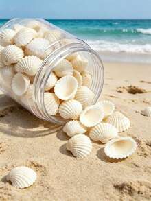 50/100/300pcs Mini Shell Beads Beach Spacer Beads Pendant Denim Shell Loose Beads Summer DIY Earrings Bracelet Necklace Jewelry Making Each Piece Has Different Color And Appearance - Shell - View 7