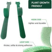 Green, Reusable, 50 Pieces, 6 Inch (Approx. 15.2 Cm) Adjustable Non-Slip Nylon Plant Ties And Straps With Hook And Loop Fasteners - Perfect For Climbing Plant Support And Christmas Wreath Tying - One Size Fits All - View 6