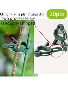 50个可调节植物支撑夹 - 番茄、藤蔓和花卉必备园艺工具 | 可重复使用耐用塑料夹,易于安装,确保植物全年健康生长,花园整洁 - 升級款 - 查看 13