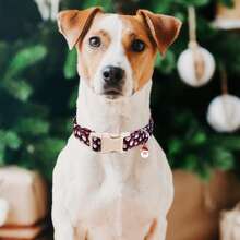 Adjustable Skin-Friendly Polyester Webbing Dog Collar, Navy Blue Background With Cute Cartoon Santa Claus Christmas Print And Matching Santa Claus Charm, Multiple Sizes For Small, Medium And Large Dogs, Practical Quick-Release Plastic Buckle And Silver Metal D-Ring, Convenient For Indoor And Outdoor Daily Wear, Harmonious And Beautiful Holiday Color Combination - Navy Blue - View 4