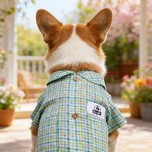 Spring/Summer Thin Plaid Shirt Pet Clothes, Fashion Apparel For Small/Medium Dogs And Cats - Green - View 7