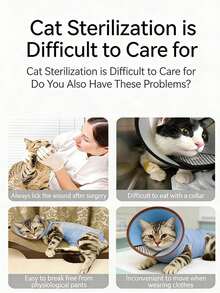 1 Peça Terno de Recuperação Ajustável e Respirável Anti-Lambedura para Gatos, Adequado para Castração, Desmame, Todas as Estações, 3 Opções de Cor - Multicolorido - Visão 6