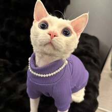 Solid Color Ribbed Two-Leg Pet Clothing, Elastic Skin-Tight Thermal Undershirt, Suitable For Hairless Cats Like Sphynx And Abyssinian - Purple - View 9