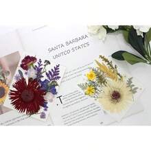 17 Types 30PCS Real Dried Pressed Flowers Bulk Dried Flower For Crafts Packed DIY Natural Dried Pressed Flowers For Resin Mold Scrapbooking DIY - Mixed 17 Types - View 6