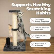 Catify Cat Scratcher Fun Interactive Scratchers Posts Poles Claw  Furniture Saver Indoor Play Port Natural Cat Behaviors Heavy Duty - Gray 11.78 X 11.78 - 貓抓柱(灰色) - 查看 4