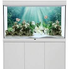 阳光图案鱼缸背景画，水族箱背景贴纸，爬行动物笼背景贴纸，正面自粘，鱼缸景观装饰，水族箱装饰 - A - 查看 5