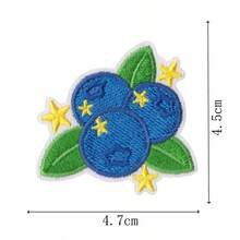 Cute Blueberry Dessert Embroidered Patch, Sew-On Or Iron-On DIY Decorative Patch For Clothes, Hats, Backpacks, Sewing Decoration Supplies And Accessories - Multicolor - View 15