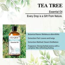 1瓶 EUQEE 10/30/100毫升茶树精油，适用于香薰机、加湿器、蜡烛、肥皂制作、护肤、舒缓睡眠、净化空气，持久留香，是理想的礼物之选。 - 茶樹 - 查看 5