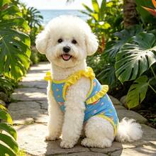 1pc Dog Bikini Swimwear, UV Protection & Cooling Pet Clothes For Summer, Cute Ruffle Design For Poodle & Small Dogs Outdoor Water Beach Accessory - Blue - View 3
