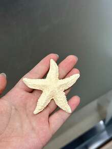 4件套逼真树脂海星摆件，多色人造海星装饰，水族箱鱼缸造景装饰，适用于家居花园婚礼餐桌布置DIY工艺品 - 仿真海星 - 查看 8