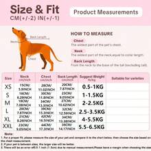Lightweight Breathable Pet Cat Clothes, Sleeveless Harness With Heart & Bow Print, Suitable For Sphynx Cats In Summer - Blue - View 3