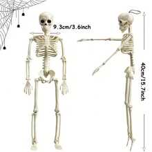 1 pièce Décoration de tête de squelette d'Halloween, tête de squelette en plastique à corps entier avec articulations réglables, petite tête de squelette suspendue, convient pour la décoration d'Halloween pour l'extérieur et l'intérieur, ornement suspendu pour maison hantée et cimetière - squelette d'Halloween - Voir 5