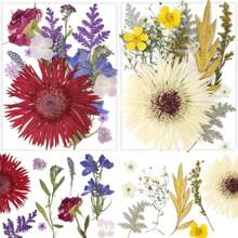 17 Types 30PCS Real Dried Pressed Flowers Bulk Dried Flower For Crafts Packed DIY Natural Dried Pressed Flowers For Resin Mold Scrapbooking DIY - Mixed 17 Types - View 8
