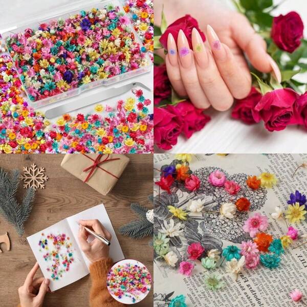 Mini Dried Flowers For Resin520 Pcs Small Dried Flowers For Crafts Resin Nails Bulk Tiny Dried Pressed Flowers For Crafts DIY Epoxy Resin Accessories Jewelry Earrings Soap Making Candles Making
