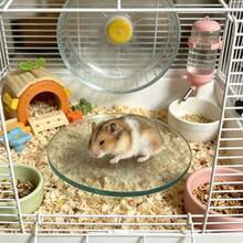 Glass Hamster Cooling Mat, Anti-Bite And Anti-Flip, Smooth And Easy To Clean, Transparent Design, Ideal Choice For Cooling Hamsters In Summer, Specially Designed For Hamsters, Suitable For Small Hamsters - View 3