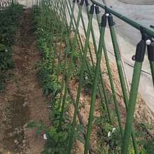 Ensemble de 21 pièces de tuteurs de jardin durables, noyau métallique revêtu, comprend 8 tiges de support, 3 clips en forme de A, 5 connecteurs, 5 boucles universelles, résistant à la corrosion, facile à insérer, convient à diverses plantes, fruits, légumes, support essentiel pour les plantes grimpantes de jardin - Support pour plantes - Voir 4