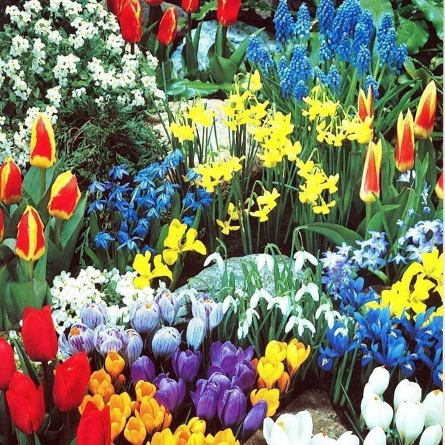 Outdoor Decor - 198pcs - View 1