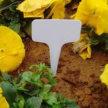 10 piezas de etiquetas blancas para jardinería, tableros de escritura de plástico a prueba de agua para clasificación e identificación - Variante - Ver 5