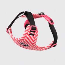 Arnés para perros pequeños, chaleco suave y ligero para cachorros, arnés transpirable para mascotas de perros de tamaño pequeño, sin ahogo, reflectante para paseos al aire libre - Multicolor - Ver 10