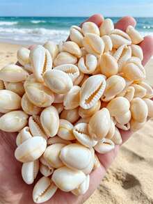 50/100/300pcs Mini Shell Beads Beach Spacer Beads Pendant Denim Shell Loose Beads Summer DIY Earrings Bracelet Necklace Jewelry Making Each Piece Has Different Color And Appearance - Shell - View 1
