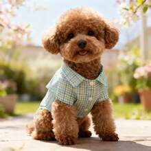 Spring/Summer Thin Plaid Shirt Pet Clothes, Fashion Apparel For Small/Medium Dogs And Cats - Green - View 1