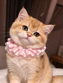 2 buah Kalung Hewan Peliharaan Mawar Satin 3D Merah Muda Manis, Dekorasi Renda Berumbai dengan Pita yang Dapat Diatur, Aksesori Hewan Peliharaan, Syal Kucing dan Pita Payet, dan Kalung Anjing Kecil, Gaya Pakaian Foto Kucing, Kalung Dekoratif Hewan Peliharaan - Baby Pink - View 3