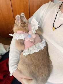 Adjustable Rabbit Leash, Cute Floral Lace Rabbit Harness, Small Animal Outdoor Clothing, Escape-Proof Adjustable Rabbit Vest, Cute Guinea Pig Summer Harness, Leash Set, Rabbit Walking Leash, Floral Decorated Small Animal Vest Harness, Adjustable Escape-Proof Design, Pink, Suitable For Ferrets, Guinea Pigs, Squirrels, Kittens, Hamsters, Rabbits, Suitable For Outdoor Walks, Travel, Spring Outings - Multicolor - View 8