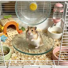 Glass Hamster Cooling Mat, Anti-Bite And Anti-Flip, Smooth And Easy To Clean, Transparent Design, Ideal Choice For Cooling Hamsters In Summer, Specially Designed For Hamsters, Suitable For Small Hamsters - View 5