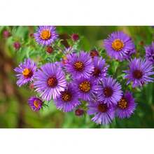 Outdoor Decor - 125pcs - View 4