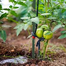 Ensemble de 21 pièces de tuteurs de jardin durables, noyau métallique revêtu, comprend 8 tiges de support, 3 clips en forme de A, 5 connecteurs, 5 boucles universelles, résistant à la corrosion, facile à insérer, convient à diverses plantes, fruits, légumes, support essentiel pour les plantes grimpantes de jardin - Support pour plantes - Voir 7