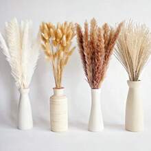 PCS Small Boho Pampas Grass 17" Naturally Dried Pompas Pampas Grass Decor For Wedding Boho Party Decorations Table Decor Brown And White - Brown White - View 4