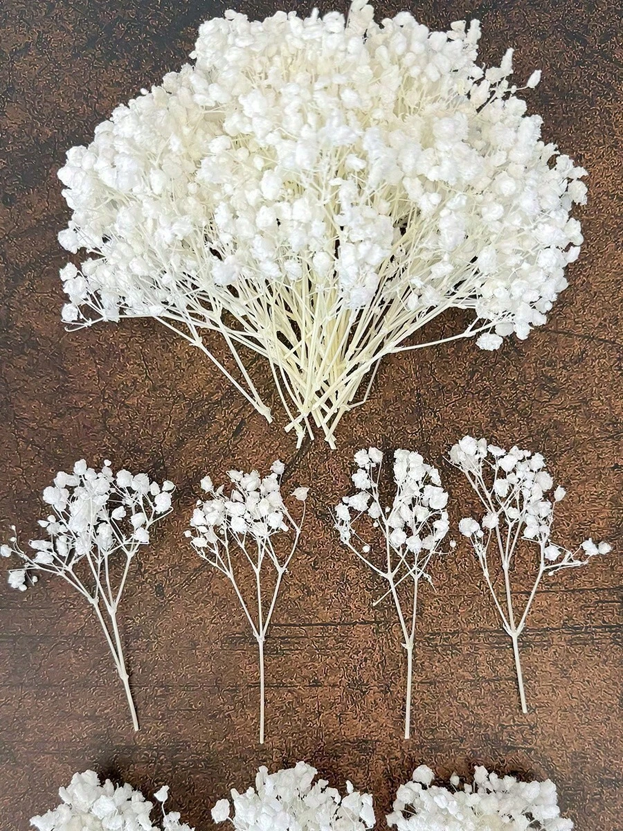 10/20/30/50支装人造满天星花束，浪漫仿真花，适用于家居、婚礼、派对装饰、桌面摆件和摄影道具，不易褪色，是母亲节和父亲节的理想礼物。 - 彩色 - 查看 1