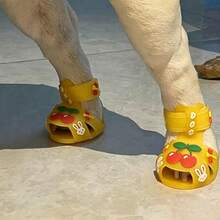 小型犬宠物果冻雨鞋，硅胶凉感宠物鞋，适合泰迪犬、贵宾犬等小型犬外出穿着 - 彩色 - 查看 6