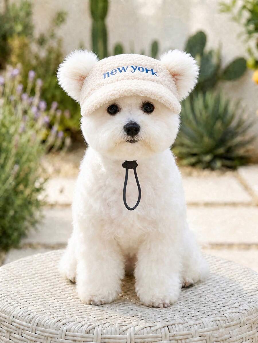 1pc Pet Hat For Small Dogs, Puppies, Teddy, Bichon, Pomeranian, Pet ...