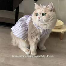 Cat Print Princess Style Gradient Color Anti-Shedding Summer Pet Dress, Suitable For Small Dogs And Cats, Lightweight And Breathable, Purple And Pink - Pink - View 5