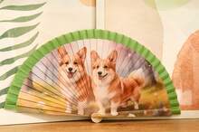 Un abanico   con dibujo perritos  Ideal para el verano,fiesta, mejor regalo de cumpleaños/graduación. - Corgi - Ver 1