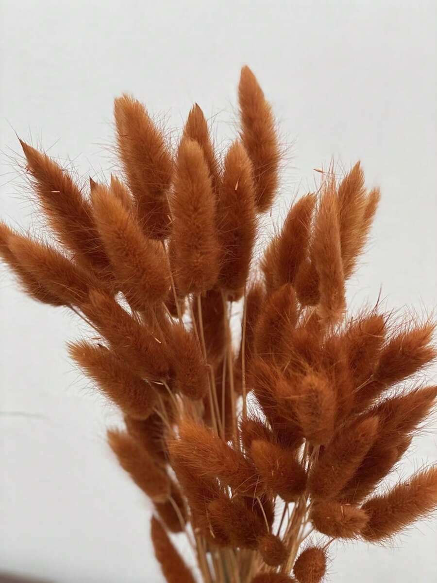 30~240支人造兔尾草,居家裝飾人造兔尾草莖,適用於波希米亞花卉裝飾、DIY手工藝、居家廚房與婚禮裝飾、聖誕裝飾、感恩節裝飾、DIY花環裝飾 - 深橙色兔尾草 - 查看 1