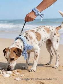Écharpe rafraîchissante universelle pour animaux de compagnie, collier de cou pour chien et chat, serviette rafraîchissante, tour de cou rafraîchissant pour l'extérieur - Multicolore - Voir 3