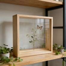 DIY Square Hollow Double-Sided Acrylic Display Box, 3D Hollow Plant & Insect Specimen Display Case, Suitable For DIY Art, Plant, Flower, And Insect Specimen Display - Square Frame + 2 Acrylic Sheets - View 3