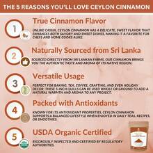 SPICY ORGANIC Ceylon Cinnamon Powder, 1 Lb – Pure  Freshly Ground From Sri Lanka, USDA Certified Organic, Non-GMO, Gluten-Free  Kosher, Perfect For Baking, Cooking, Drinks  Seasoning - SO-CCPW-16OZ - View 2