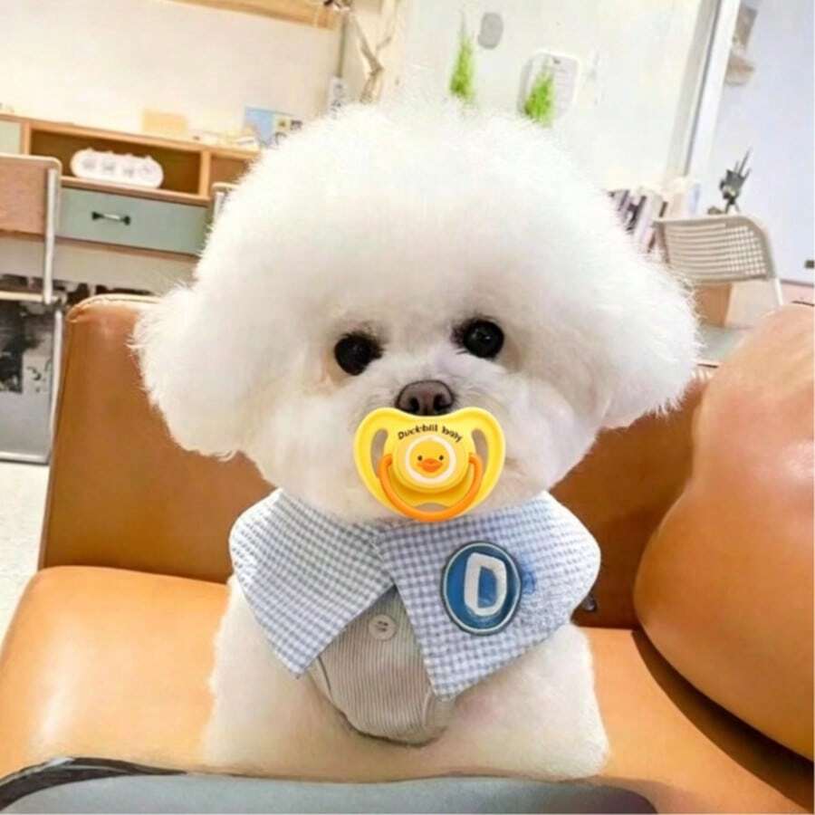 1pc Dog Pacifier Toy, Pet Teething Chew Toy For Small Dogs, Puppy, Poodle, Teddy, Newborn Sleeping, Weaning Period Chewing Toy - Multicolor - View 1