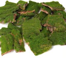 BYHER Assorted Artificial Moss Bark, Decorative Mossy Tree Bark For DIY Crafts, Fairy Gardens, Terrariums, Floral Arrangements (Realistic Green - 100gr) - ColorA - View 1