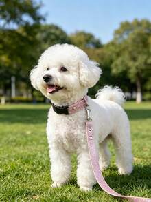 1pc Polyester Material Pink Matte Reflective Pet Leash, Durable Anti-Bite Dog Walking Lead, Suitable For Medium & Small Active Dogs - Multicolor - View 6