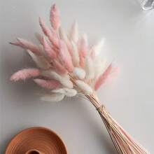 White Pink