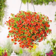 385Pcs Mixed Petunia Seeds Planted At Home - View 3