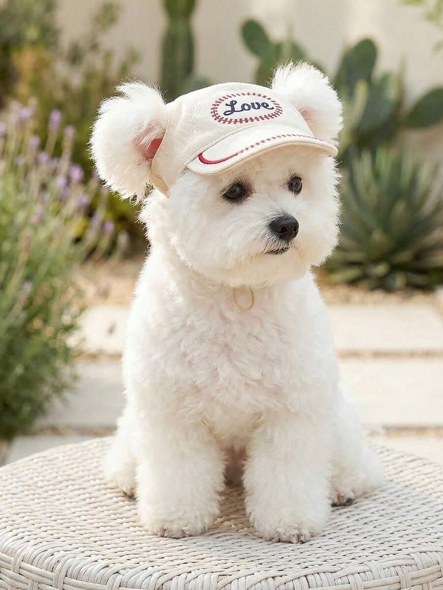 1pc Pet Sun Hat For Small Dogs, Poodle, Teddy, Bichon Frise, Pet Accessories, Love Baseball Cap, Spring/Summer - Multicolor - View 1