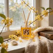 Reed Diffuser Oils - Osmanthus Fragrans - View 3