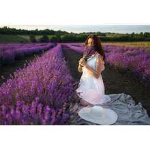 French Lavender  (Lavandula Stoechas) Packet Of 1000 - Variant 1 - View 6
